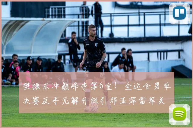 樊振东冲巅峰夺第6金！全运会男单决赛反手无解升级引邓亚萍雷军关注