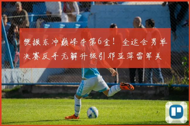樊振东冲巅峰夺第6金!全运会男单决赛反手无解升级引邓亚萍雷军关注